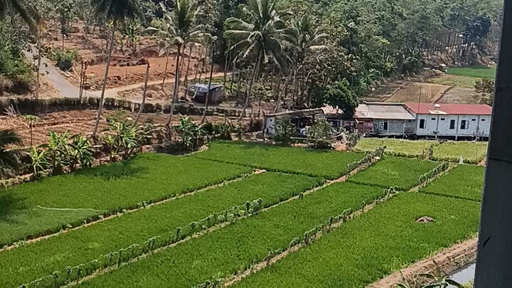 Suasana yang indah