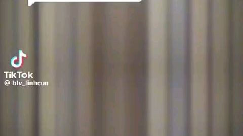 fpt-flash