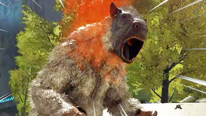 Having Kun Kun around really puts my mind at ease.