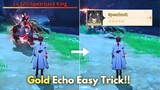 Get GOLD Echo at FIRST DAY!!  [ Wuthering Waves ]