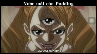 Nước mắt của Pudding #anime