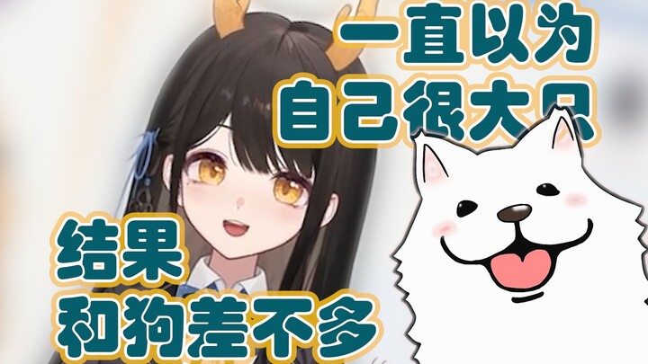 【礼墨】主播是条龙，但只比中型犬大一丢丢