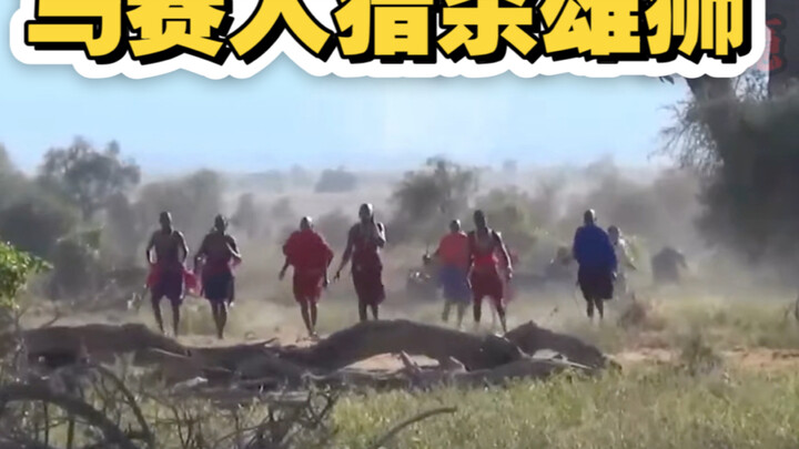 الماساي يقتلون الأسد