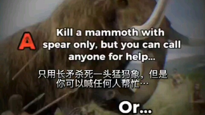 เลือกหนึ่งในสี่ คุณเลือกอันไหน?