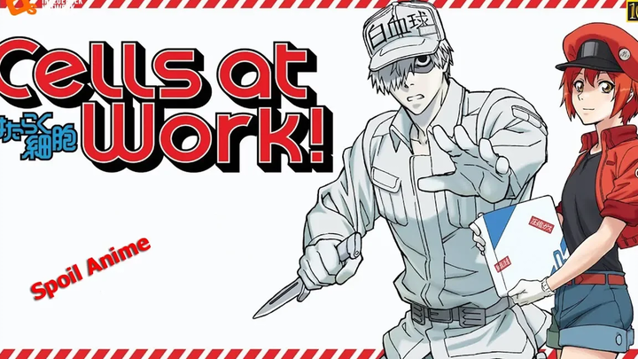 jiplove111 - Spoil Anime รีวิวความรู้สึกหลังดู Hataraku Saibou อนิเมะเกี่ยวกับร่างกาย HD 1080p