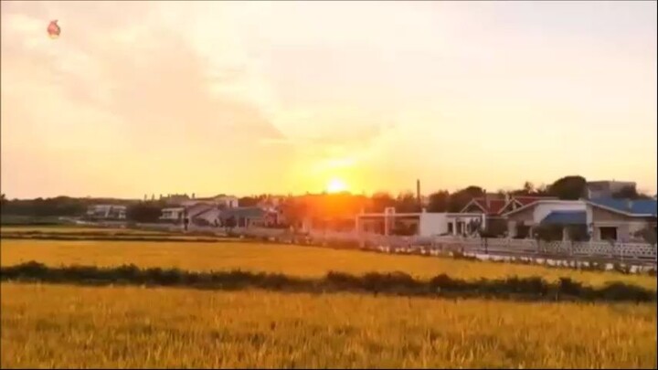 Notícias do setor agrícola