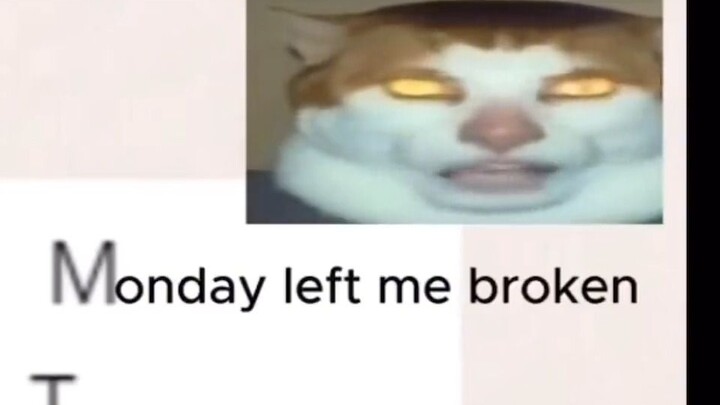 Gì mà ồn ào thế?