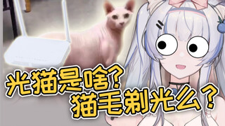 所以光猫是什么？把猫剃光么？！