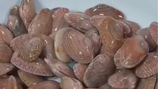 Small Tips for Food Preparation