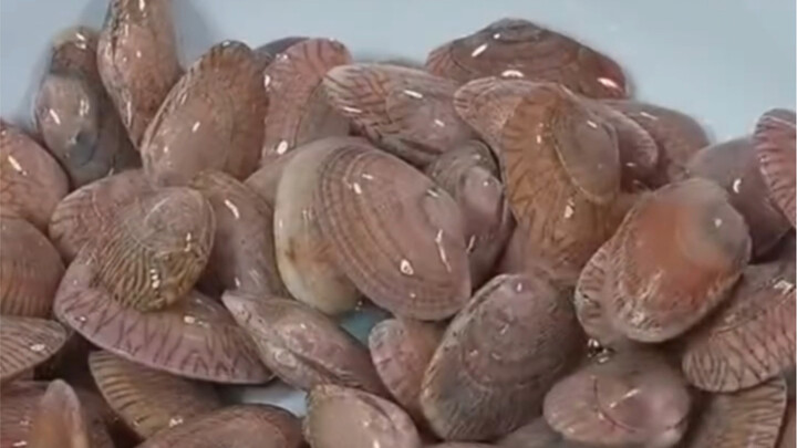 نصائح صغيرة لمعالجة المكونات