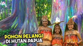 KAYU CANTIK PENGHUNI HUTAN PAPUA! Inilah 10 Pohon Aneh dan Langka yang Tumbuh di Dunia