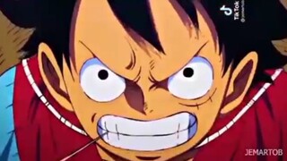 Luffy's Best fighting scene tiktok