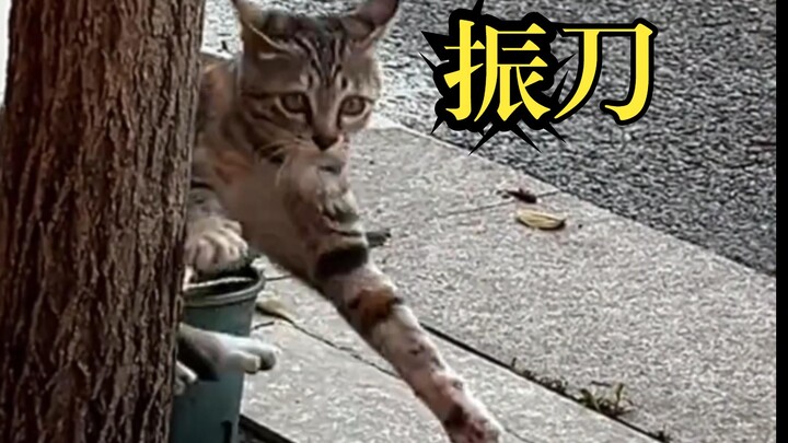 Got shot for no apparent reason