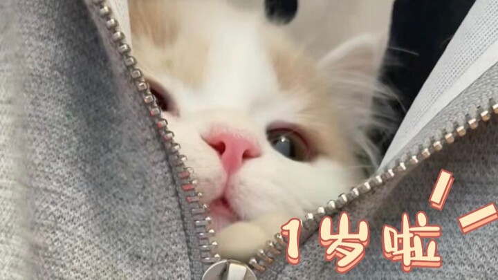 هل يمكنك أن تقول لي عيد ميلاد سعيد؟