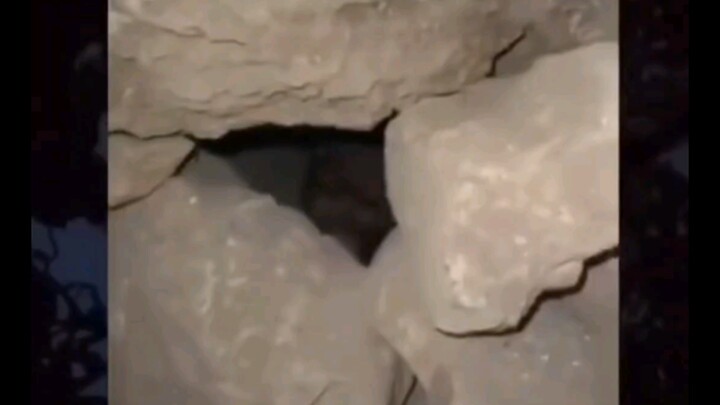 Upper Cave Man?