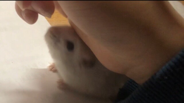 My roommate asked me why I only wrote four words in an hour.