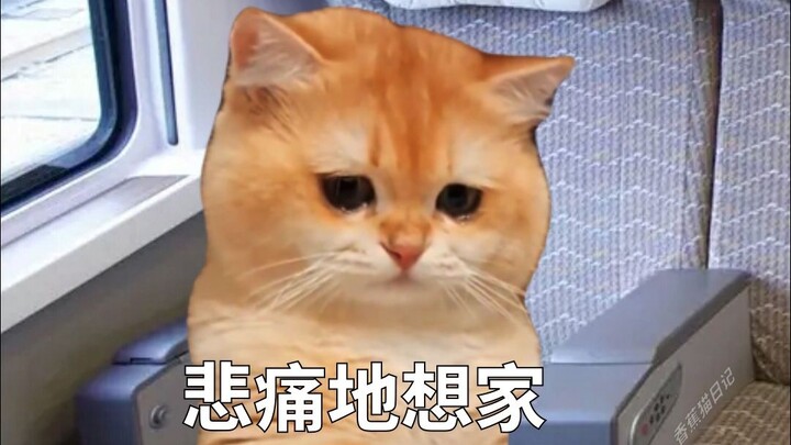 When the entire train car is filled with college students heading back to school~