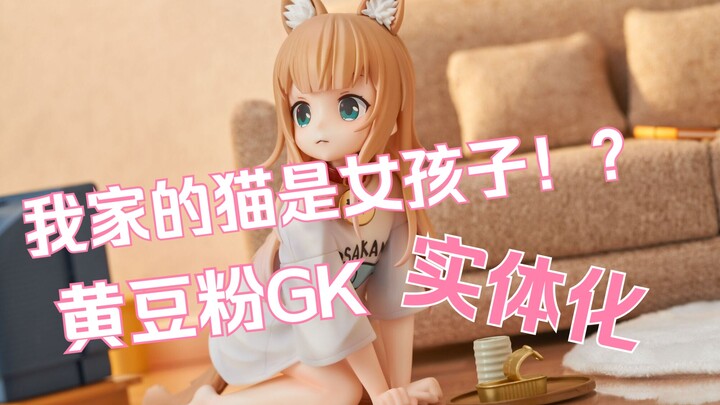 【星萝馆】我家的猫是女孩子？黄豆粉实体化啦！