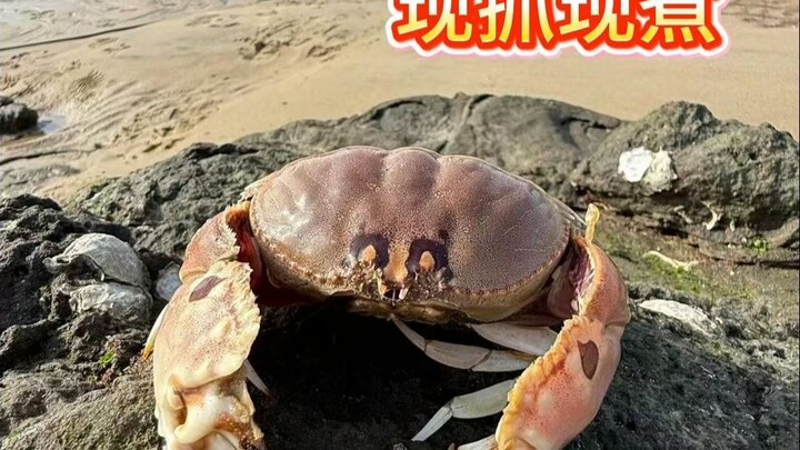 บะหมี่ซีฟู้ดแบบบริการตัวเอง จับสดปรุงสด