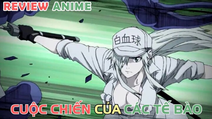 Cuộc Chiến Khắc Nghiệt Của Những Tế Bào | REVIEW PHIM ANIME HAY