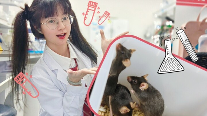 带上鼠鼠给大家跳一个☆摸鱼科研美少女无罪！☆