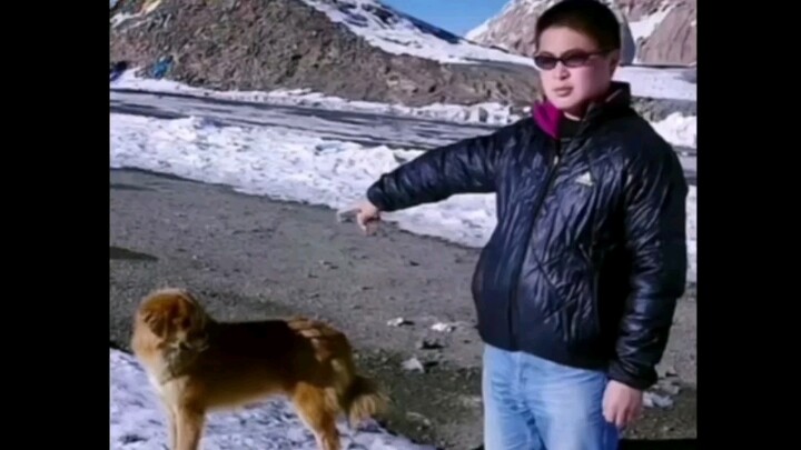 “Lebih sedikit saling menyalahkan dan memaki, lebih banyak asuransi penuh untuk truk trailer”