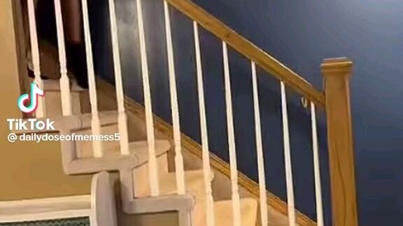 I quit being I furry