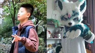 《  半 糖 狗 子  》