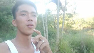 dati daw aya umaakyat ng puno mga idol ko