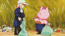 Boorin (Bảo vệ môi trường)