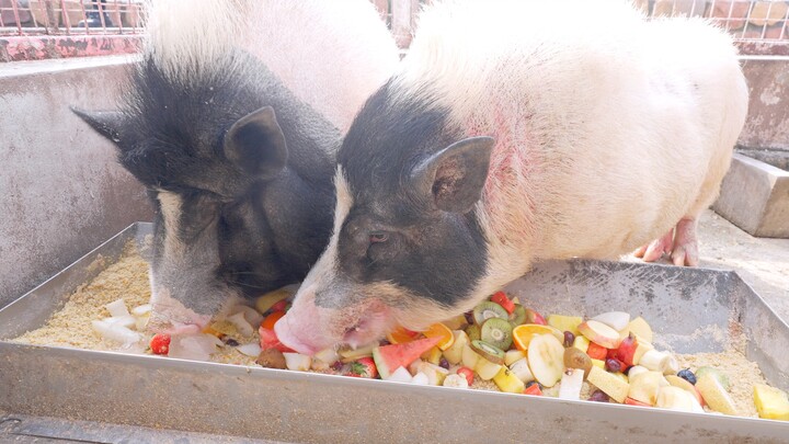I made 10 kilograms of fruit salad, and my family finished it in just 10 minutes!