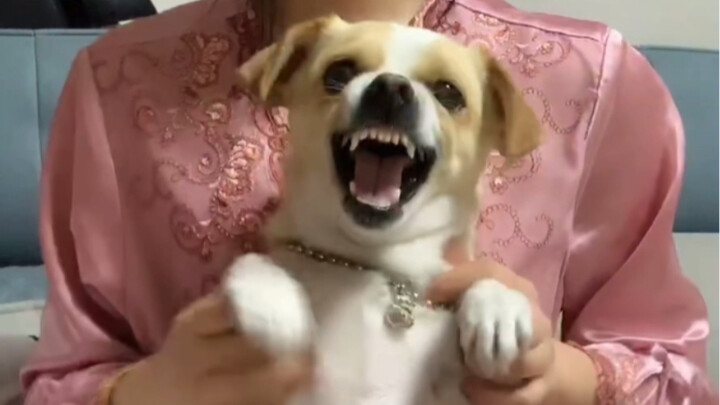 اسمعني، شكرًا لك