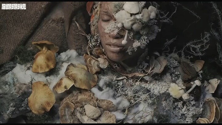 Anyone who often eats mushrooms knows: fungi are alive—and they might even “eat” you.