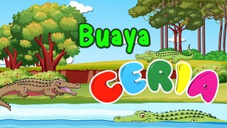 CERIA - Belajar Tentang Hewan: Buaya