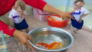 Toto can't control herself really wants to touch the fish. Tiny Yaya trying to check what is it?