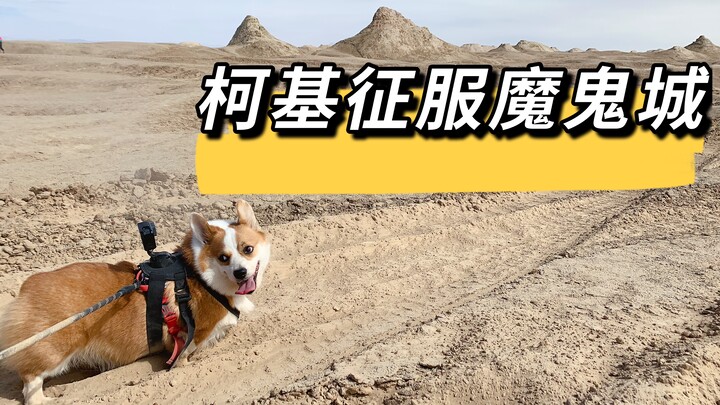 Keliling Tiongkok bersama anjing peliharaan, ternyata si Corgi pun mampu taklukkan Kota Iblis, penuh