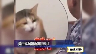 吵着吵着突然气势就弱下去了。
