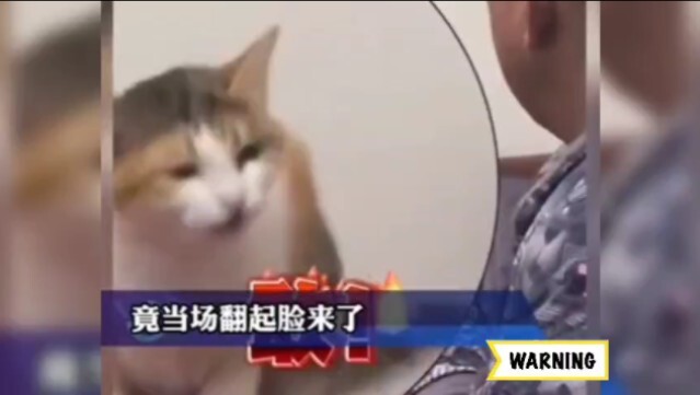 吵着吵着突然气势就弱下去了。