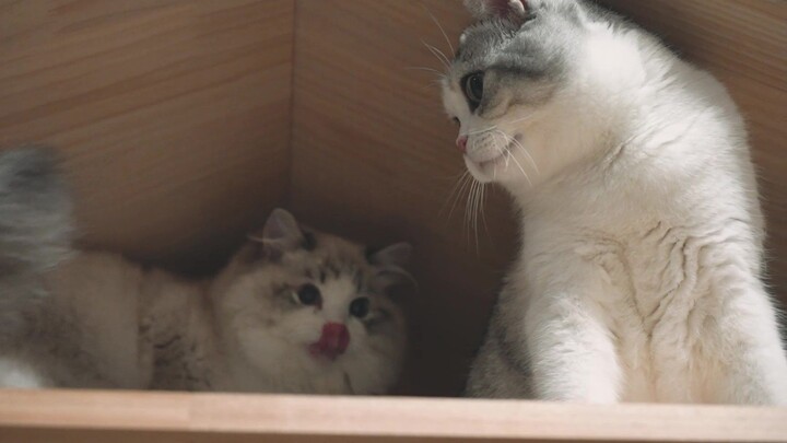 แกแอบลูบก้นฉันทำไม?