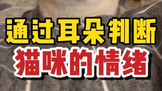 Understand your cat's mood through its ears!