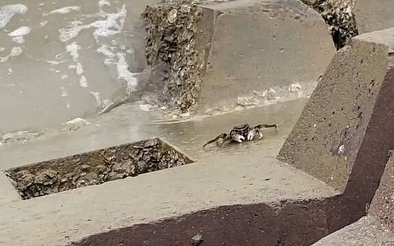 First time: What the heck? Second time: Two big hair clips.