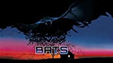 Bats..Tamil