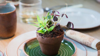 Eating soil the Michelin way
