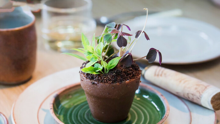 Eating soil the Michelin way