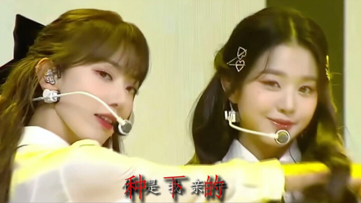 You are the one I planted with my own hands, filled with love.