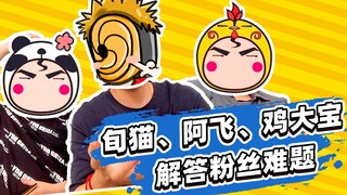 旬猫阿飞鸡大宝三兄弟终于同框，回答困扰粉丝已久的几大难题