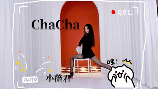 [小薇君] RainbowBlaxx-ChaCha