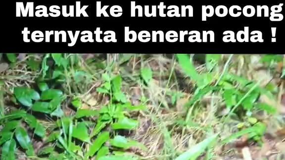 Penampakan hantu terseram