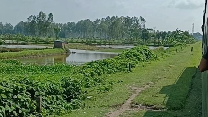 বাংলার প্রকৃতি যেন সৃষ্টিকর্তার আঁকা এক অপূর্ব ছবি। সবুজ ধানক্ষেত, নদীর স্বচ্ছ জল, কাশফুলে ভরা,