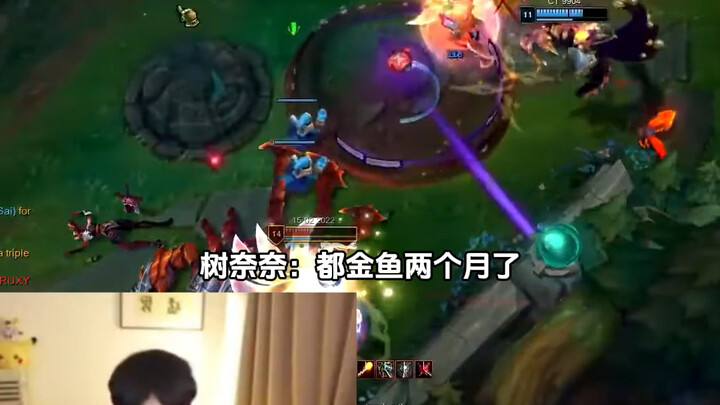 Ông hoàng ô dù nhịn dục hai tháng chỉ để đánh giải Ông Lão, Thu Nại Nại: Cuộc sống thế này chẳng thể